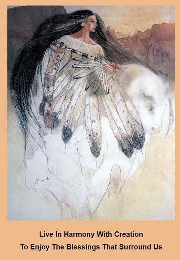 A picture of the white buffalo Calf woman
