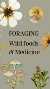 A picture of some wild food and medicine.