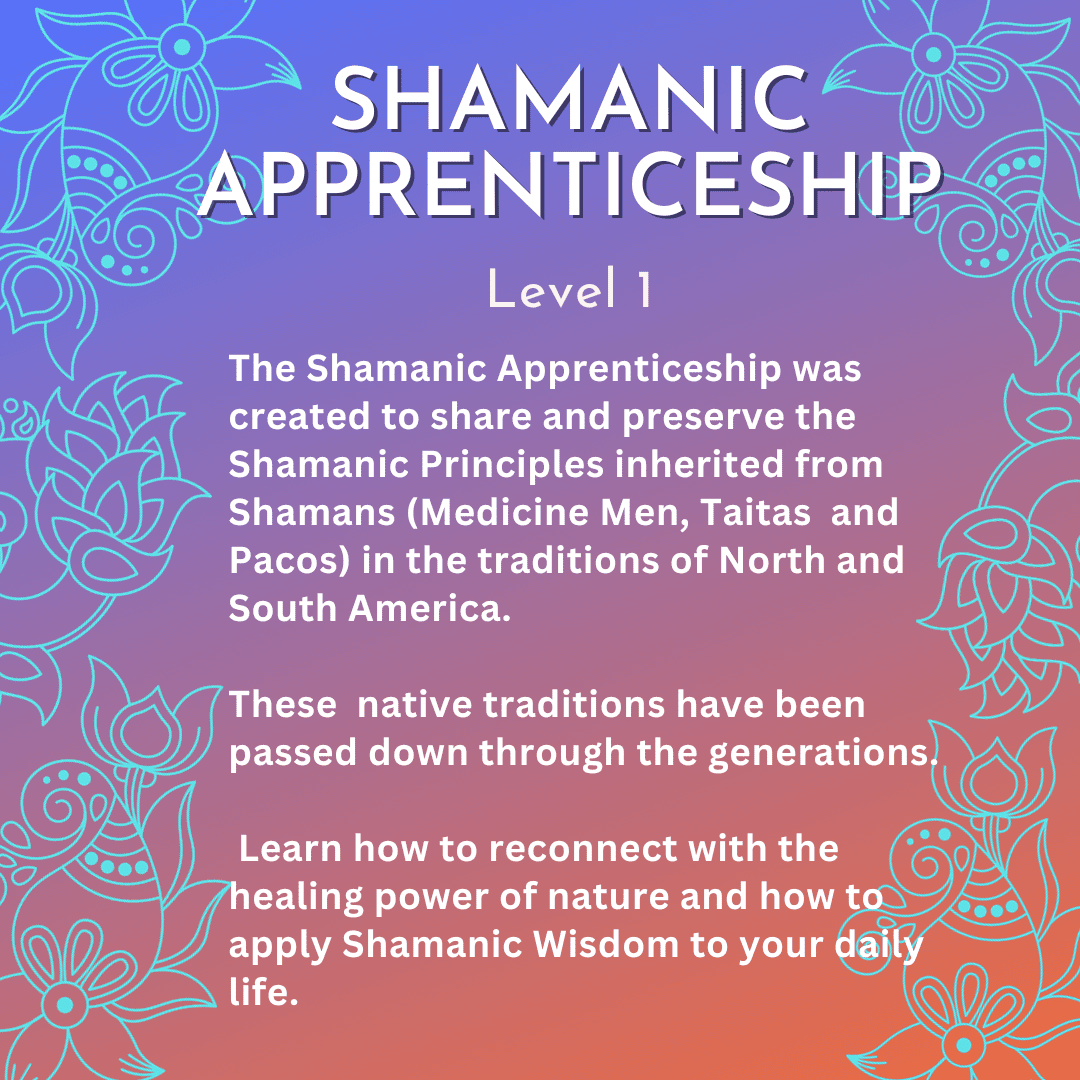 A poster with the words shamanic apprenticeship on it.