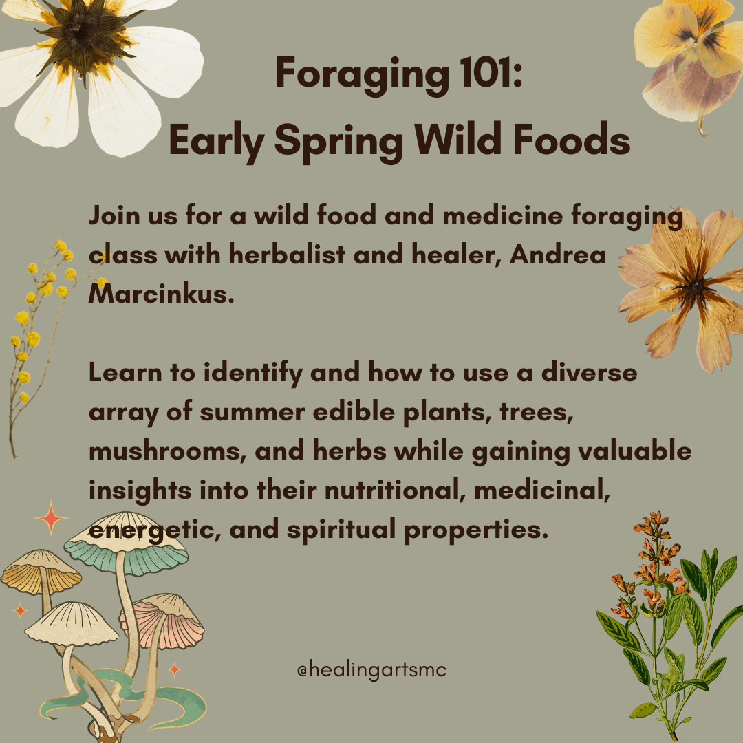 Foraging 101 Early Spring