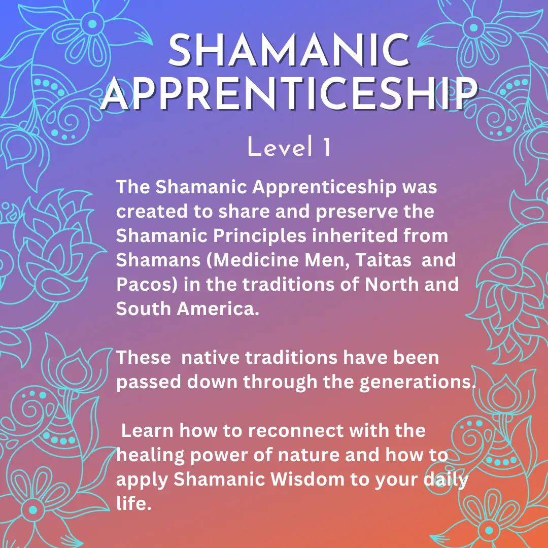 A poster with the words shamanic apprenticeship on it.