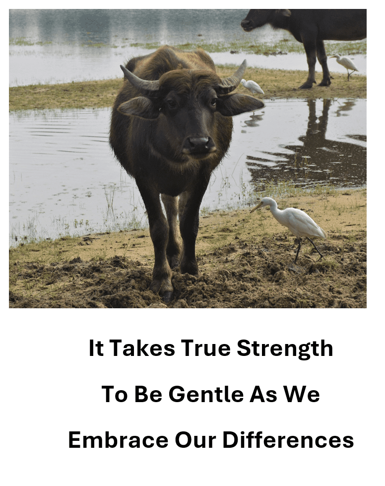 2024-08 Strength In Gentleness PIC