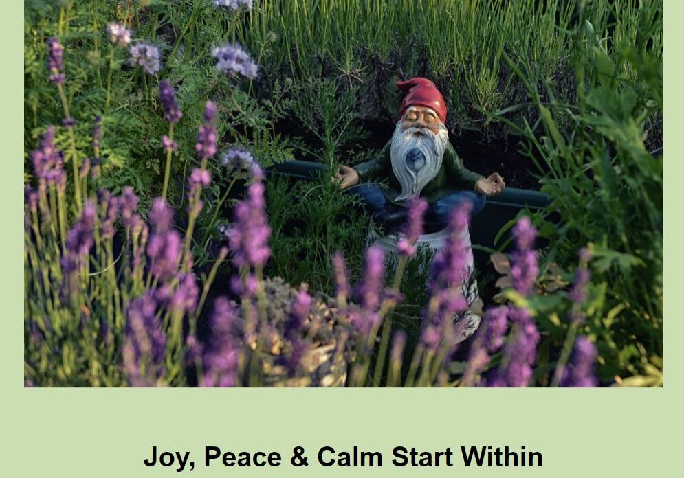 A gnome in the middle of some purple flowers.
