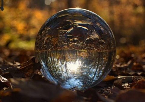 A glass ball is sitting in the leaves.