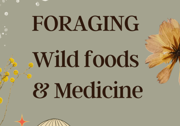 A picture of some wild food and medicine.